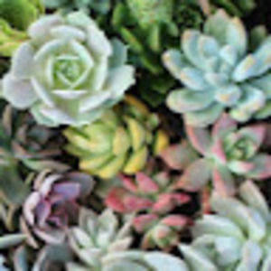 Meet your Posher, Derek